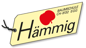 Hämmig Baumschule Egg